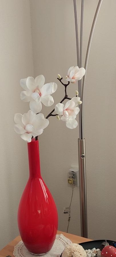 Ferienwohnung Odenwaldblick Momlingen Dış mekan fotoğraf